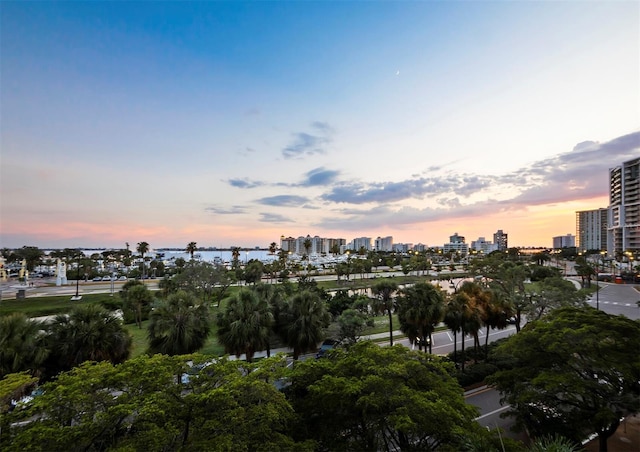 1255 N Gulfstream Ave Unit 408, Sarasota, FL 34236 - photo 36