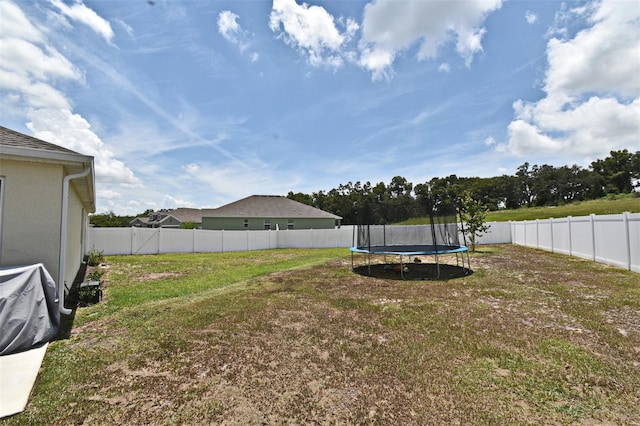 6006 Claystone Way, Mount Dora, FL 32757 - photo 8