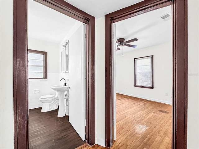 hall featuring plenty of natural light, wood-type flooring, and sink