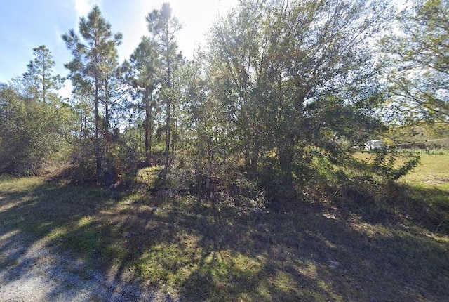 519 Laguna Dr, Indian Lake Estates FL, 33855 land for sale