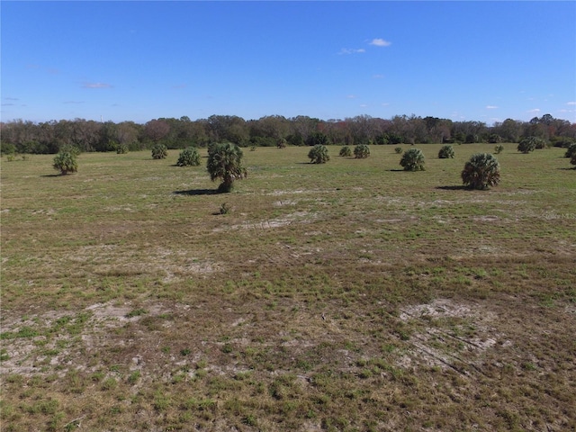 Listing photo 3 for 9937 S US Highway 37, Mulberry FL 33860