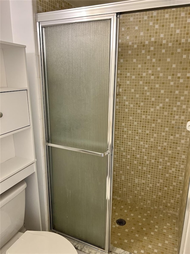 bathroom with a stall shower and toilet