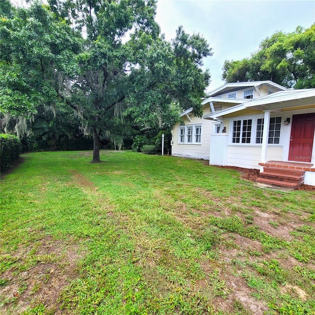 view of yard with entry steps