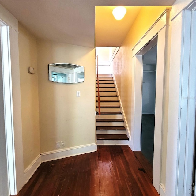 staircase featuring baseboards and hardwood / wood-style floors