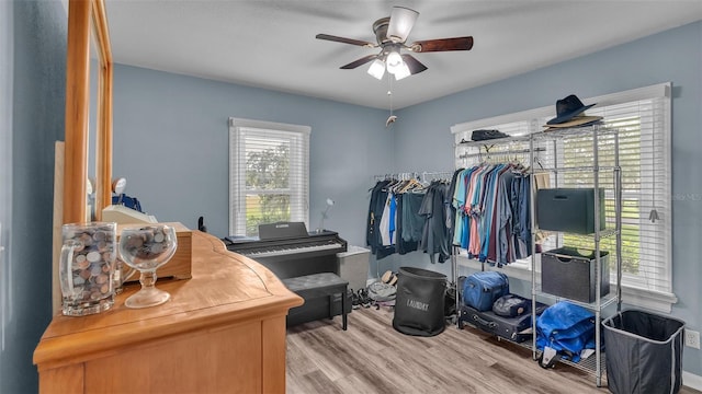 spacious closet featuring ceiling fan and wood finished floors