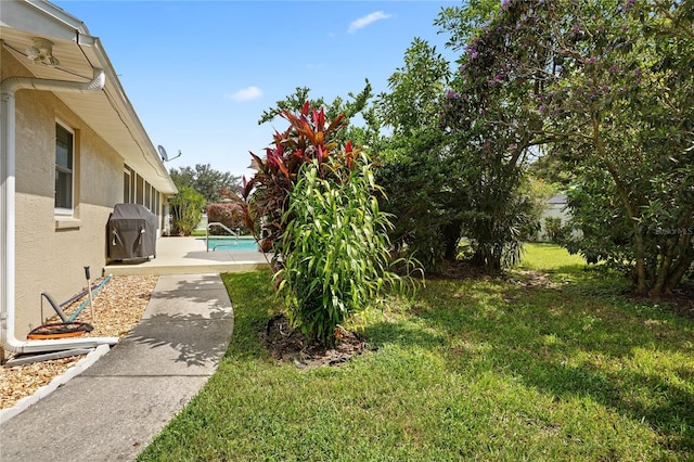 view of yard featuring a patio