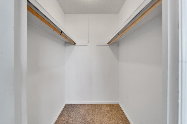 spacious closet featuring carpet