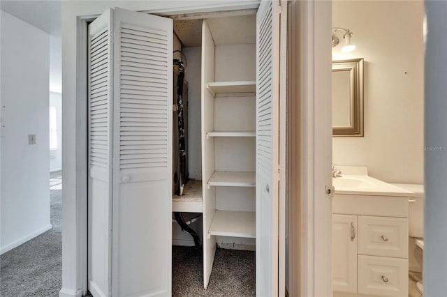 closet with sink