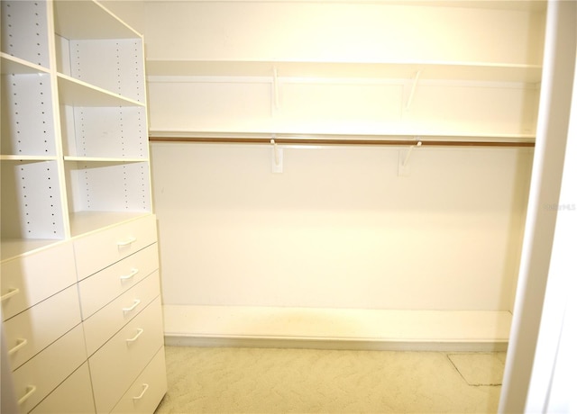 spacious closet featuring carpet