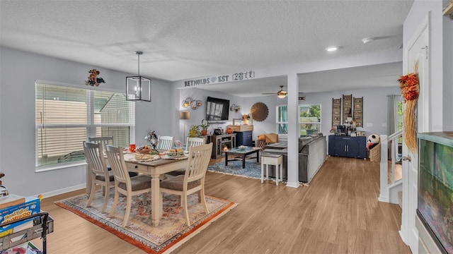 dining space featuring light hardwood / wood-style flooring, a textured ceiling, ceiling fan with notable chandelier, and a healthy amount of sunlight