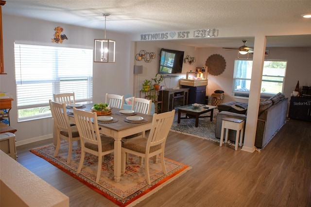 dining space featuring plenty of natural light, a textured ceiling, and wood finished floors