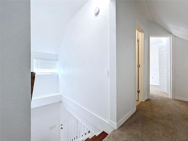 hall featuring lofted ceiling and carpet floors