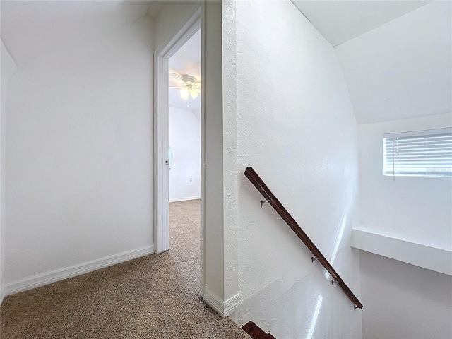 stairs with lofted ceiling and carpet floors