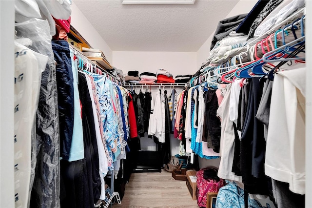 spacious closet featuring wood-type flooring