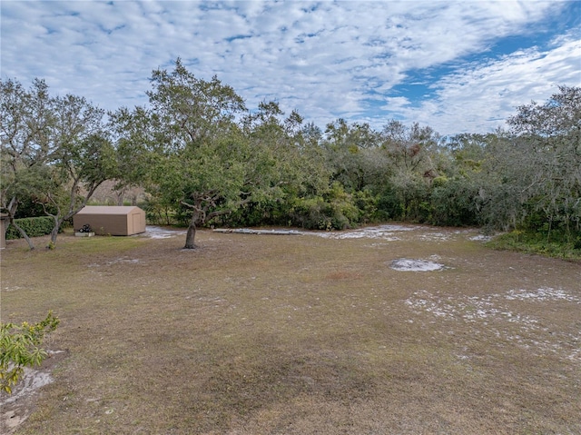 view of yard featuring a storage shed