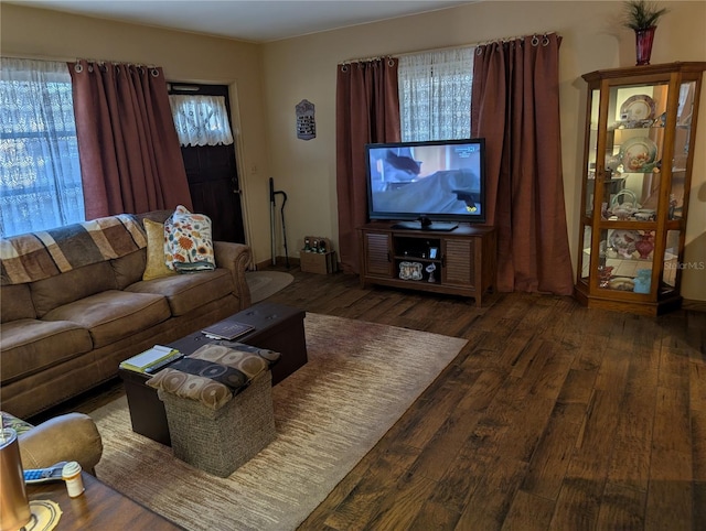 living room with dark hardwood / wood-style floors