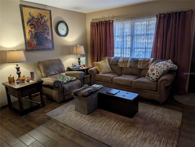 living room featuring dark wood-type flooring