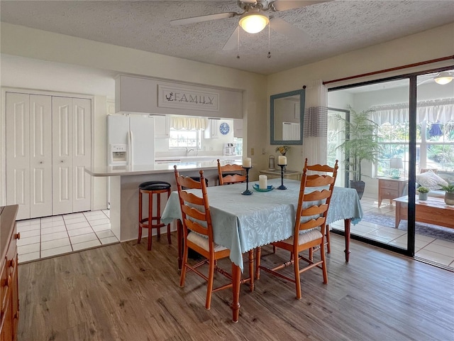 dining space with light wood-style floors, a wealth of natural light, a textured ceiling, and a ceiling fan