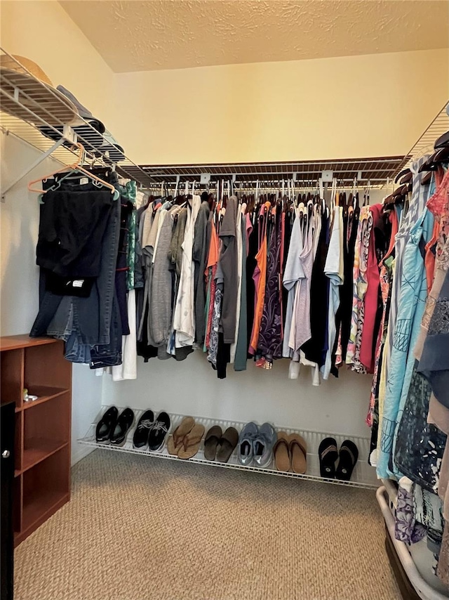 spacious closet featuring carpet flooring