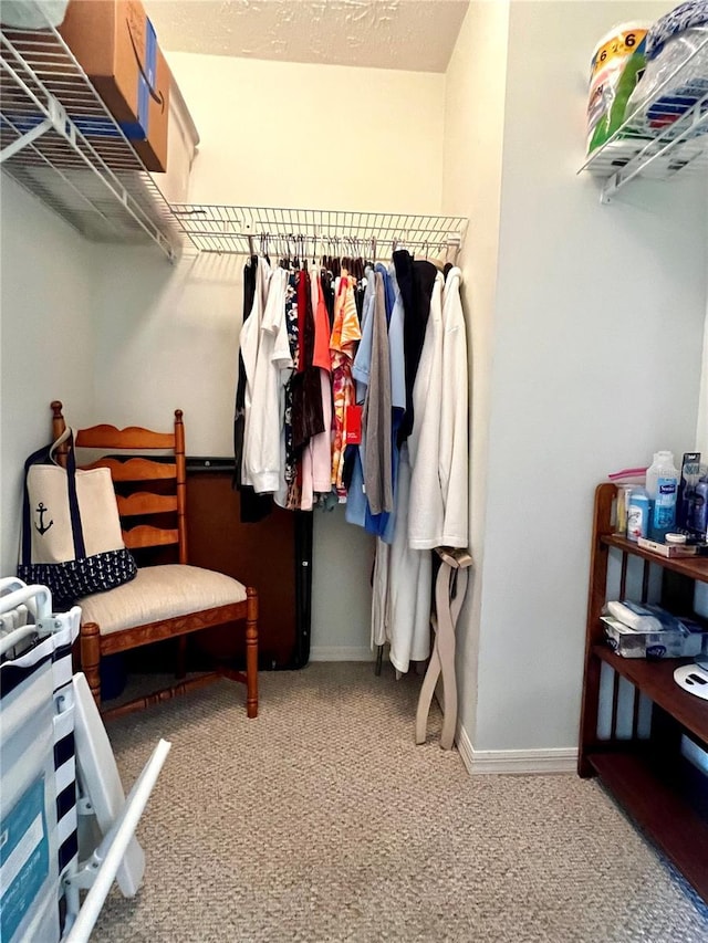 walk in closet with light colored carpet
