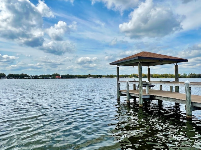 dock area with a water view