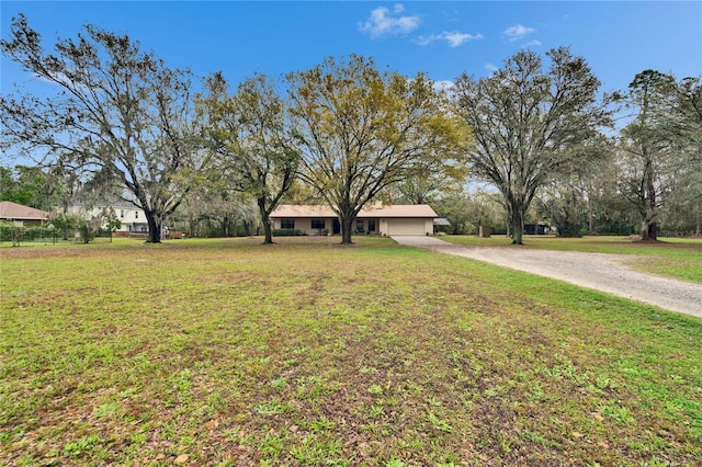 view of front of house featuring driveway and a front yard