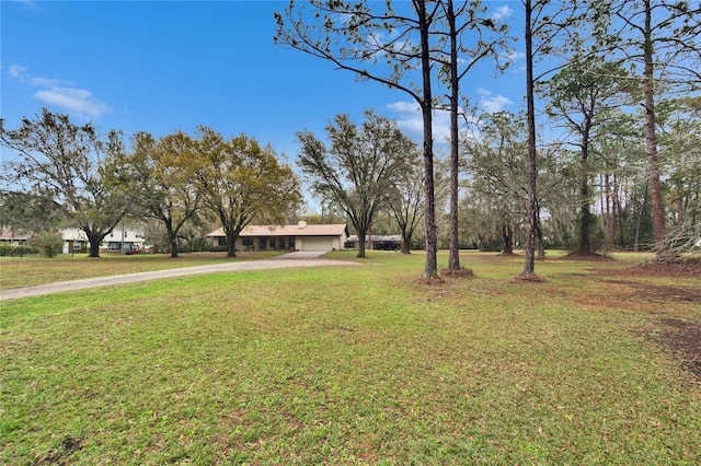 view of yard featuring driveway