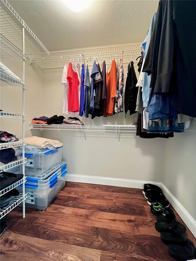 walk in closet featuring wood finished floors