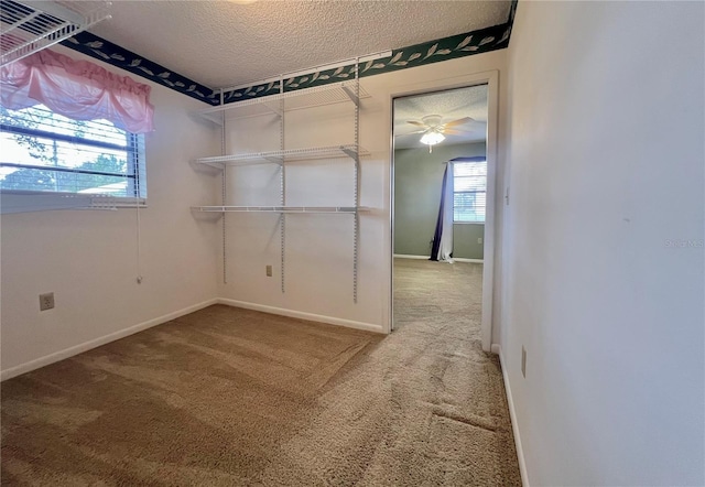 interior space featuring a wealth of natural light, baseboards, a textured ceiling, and carpet flooring