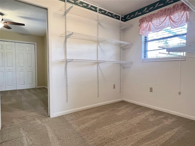 walk in closet featuring a ceiling fan and carpet