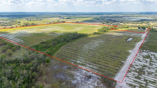 2384 SE Reynolds St, Arcadia, FL 34266 - photo 3