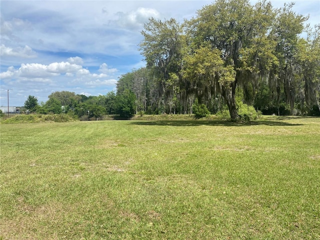 4151 Boggy Creek Rd, Kissimmee, FL 34744 - view of green lawn