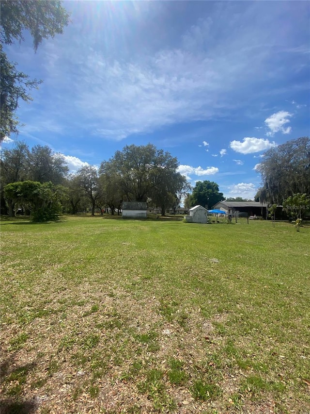 4151 Boggy Creek Rd, Kissimmee, FL 34744 - view of green lawn with an outbuilding