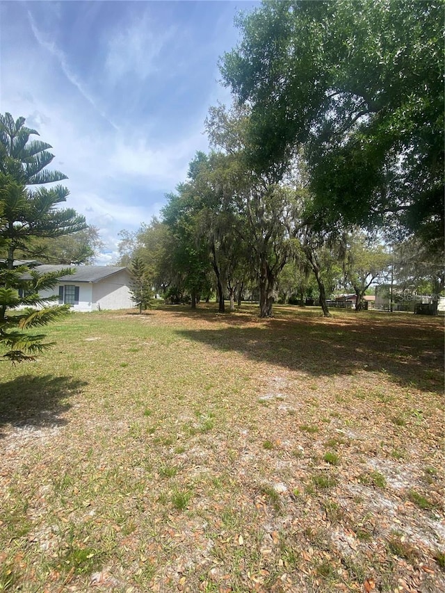 4151 Boggy Creek Rd, Kissimmee, FL 34744 - view of yard