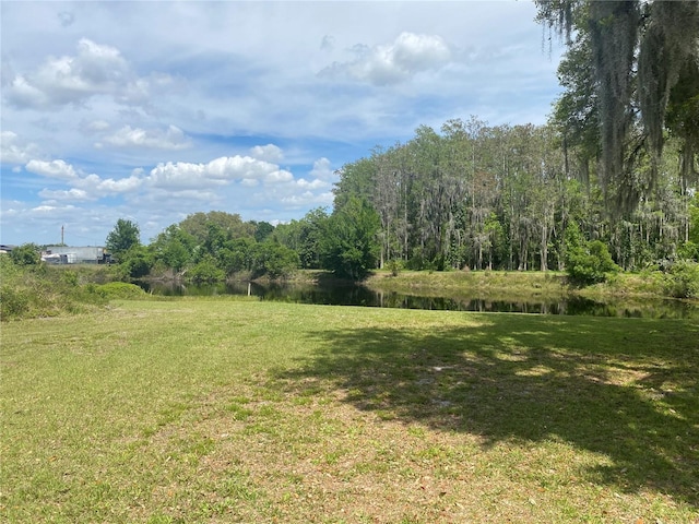 4151 Boggy Creek Rd, Kissimmee, FL 34744 - view of grassy yard with a water view