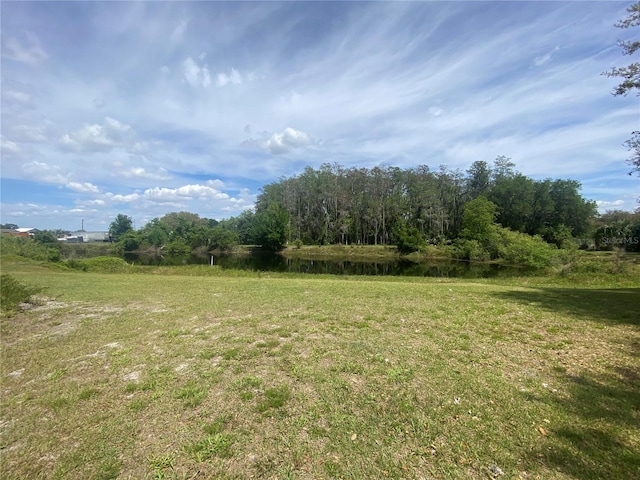 4151 Boggy Creek Rd, Kissimmee, FL 34744 - view of green lawn featuring a water view