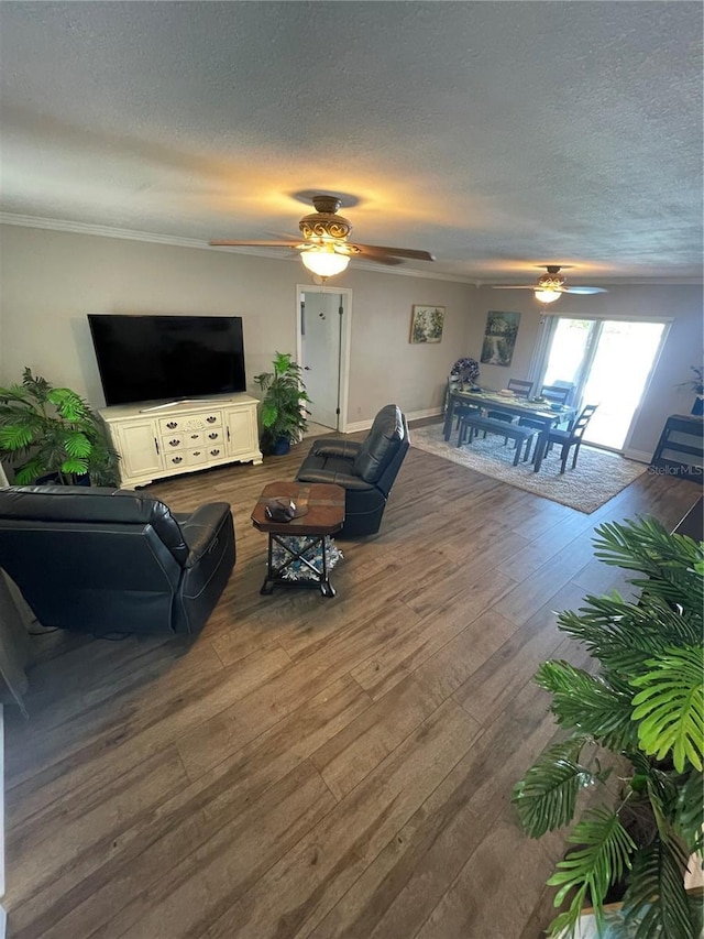 4805 Oak Acres Dr, Lake Wales, FL 33898 - photo 14