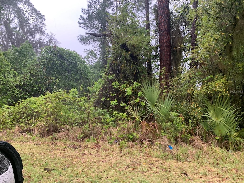 SE 69th Ave, Hawthorne, FL 32640 - photo 1