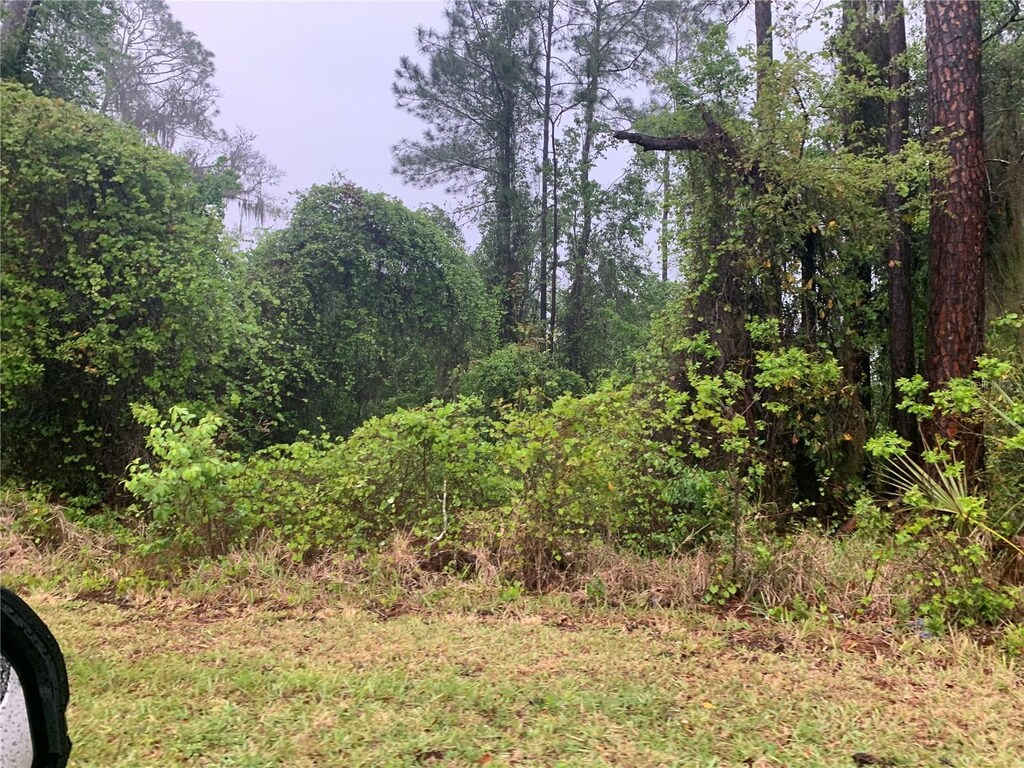 SE 69th Ave, Hawthorne, FL 32640 - photo 2