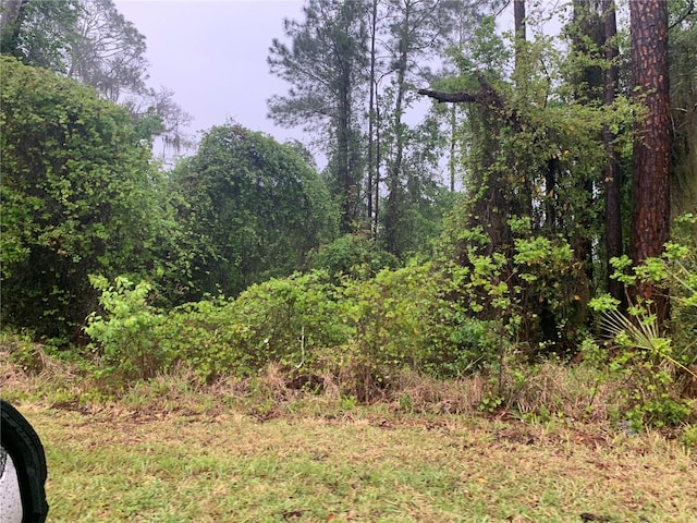 SE 69th Ave, Hawthorne, FL 32640 - photo 2