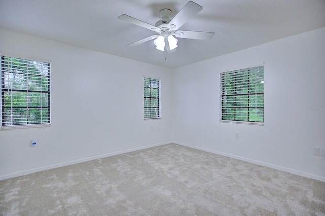 1459 Lisa Dr, Wauchula, FL 33873 - photo 27