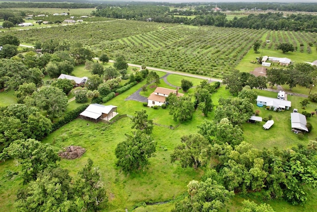 1459 Lisa Dr, Wauchula, FL 33873 - photo 39