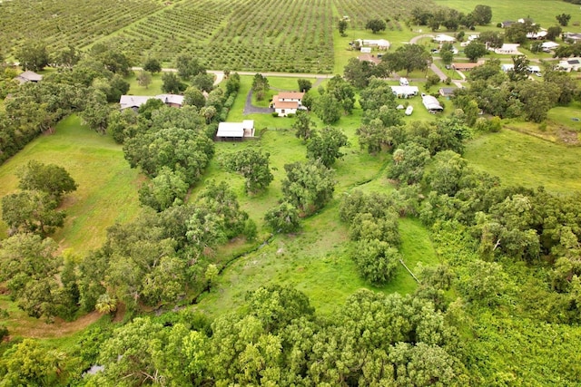 1459 Lisa Dr, Wauchula, FL 33873 - photo 40