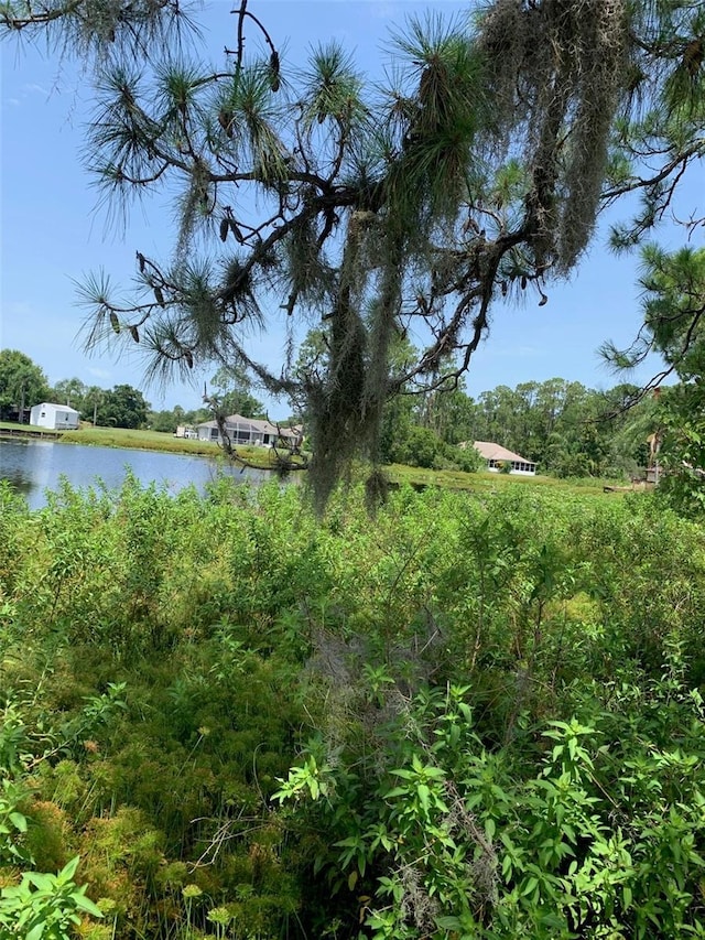 1709 Stream Ave, Sebring, FL 33875 - photo 1