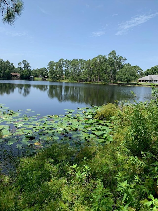 1709 Stream Ave, Sebring, FL 33875 - photo 2