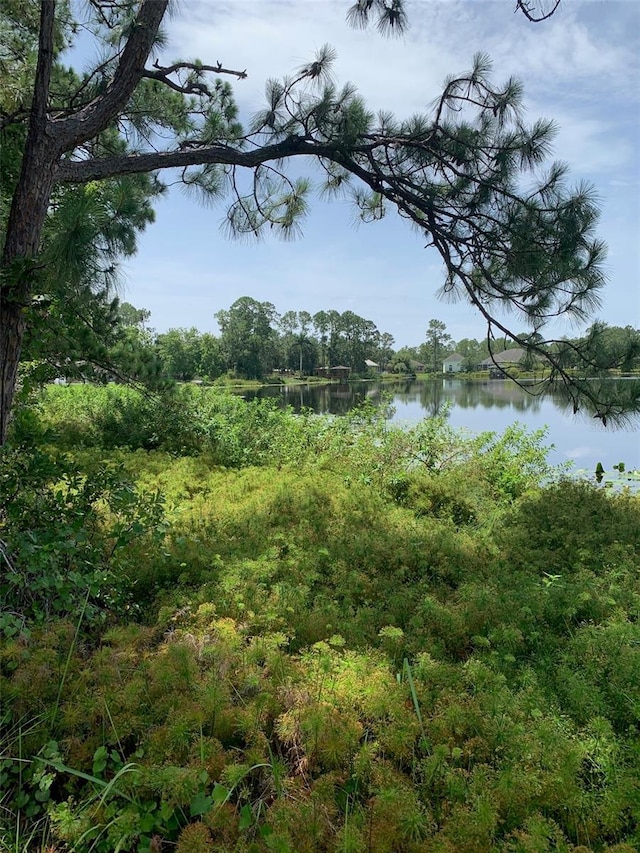 1709 Stream Ave, Sebring, FL 33875 - photo 4