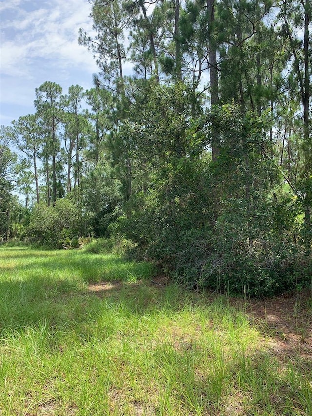 1709 Stream Ave, Sebring, FL 33875 - photo 6