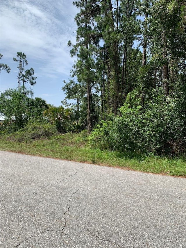 1709 Stream Ave, Sebring, FL 33875 - photo 9