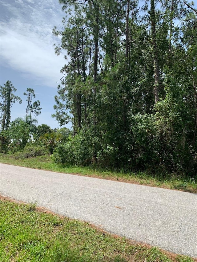 1709 Stream Ave, Sebring, FL 33875 - photo 10