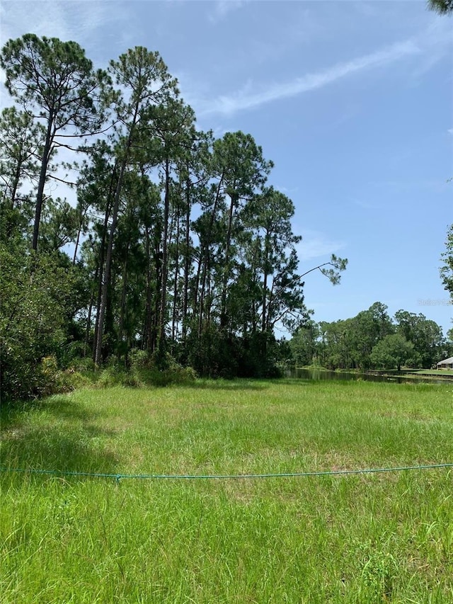 1709 Stream Ave, Sebring, FL 33875 - photo 11